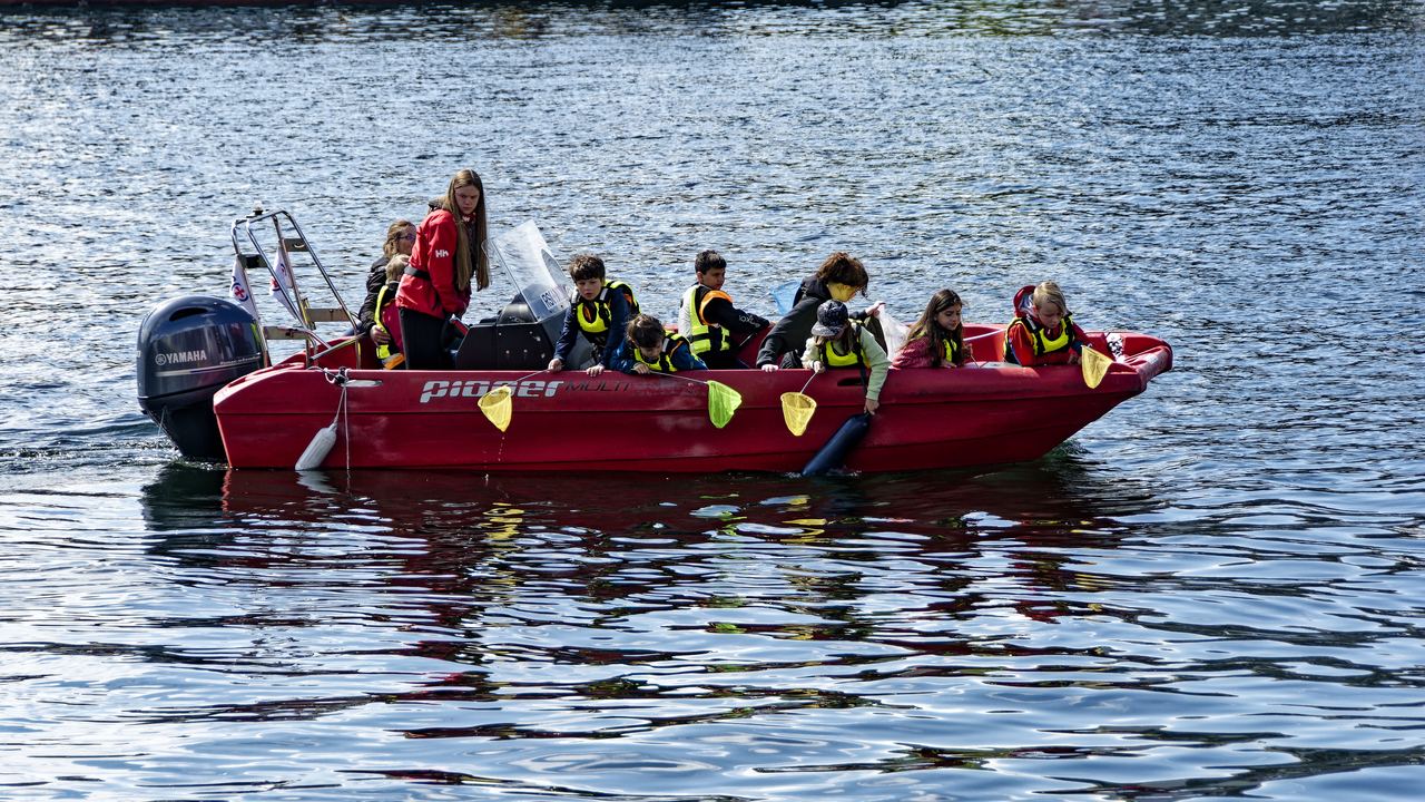20220520 122853~Bergen~Hordaland~Norway